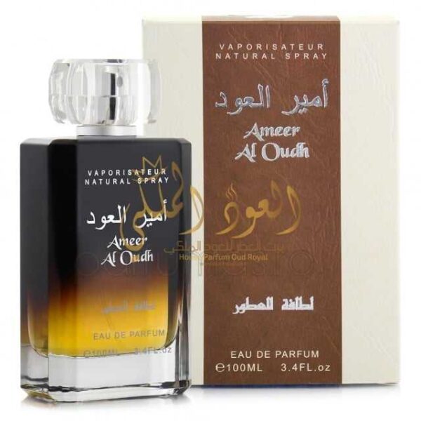 Ameer Al Oud