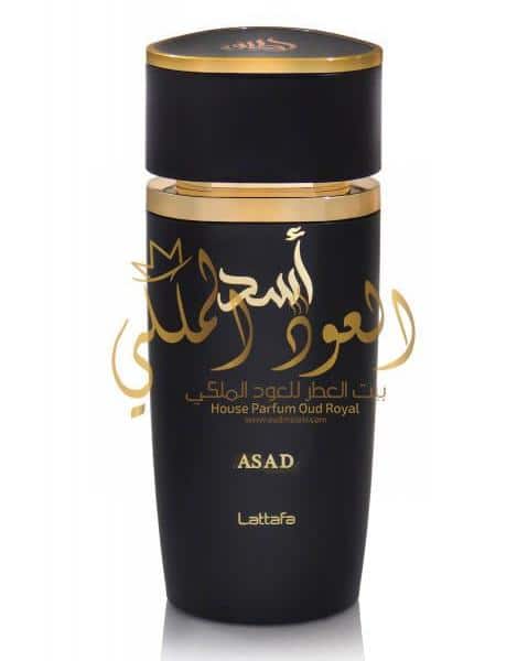 Asad — photo 2