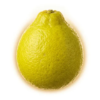 برغموت