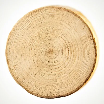 Bois de santal