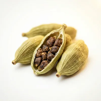 Cardamome