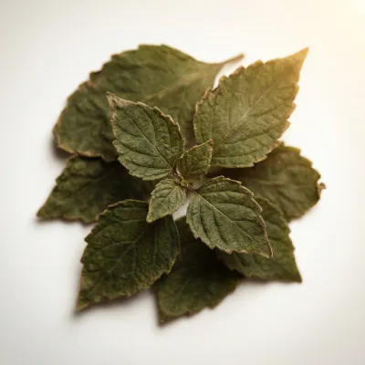 Patchouli