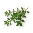 Thym